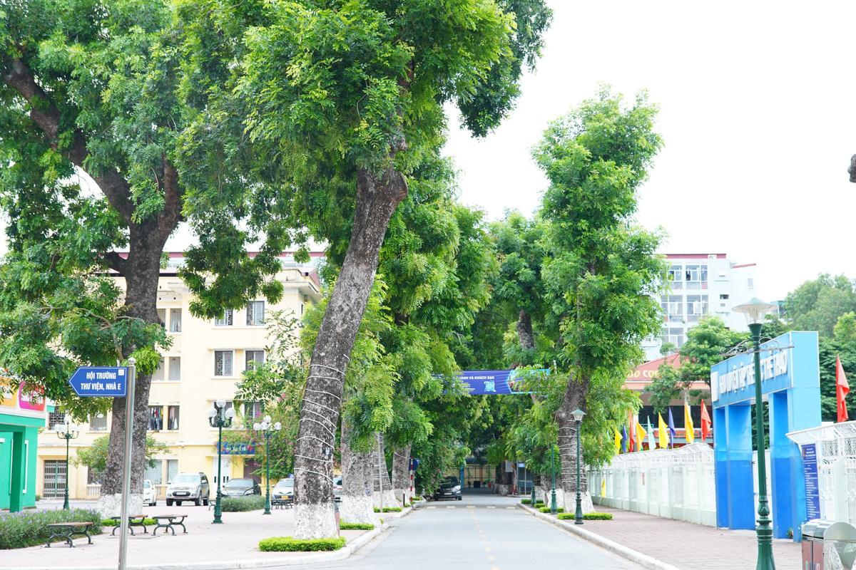 Trường Đại học Hà Nội