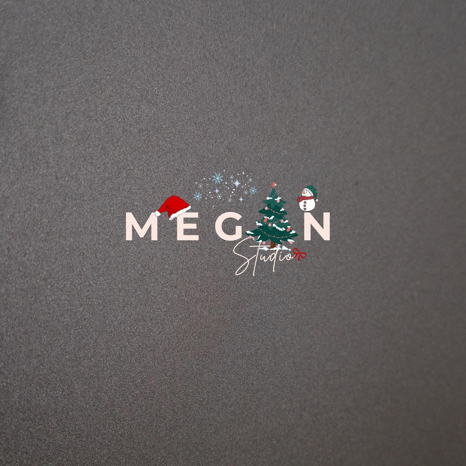 Megan Studio