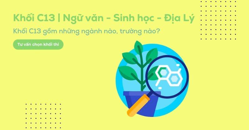 Khối C13 gồm những ngành gì, các trường xét tuyển khối C13