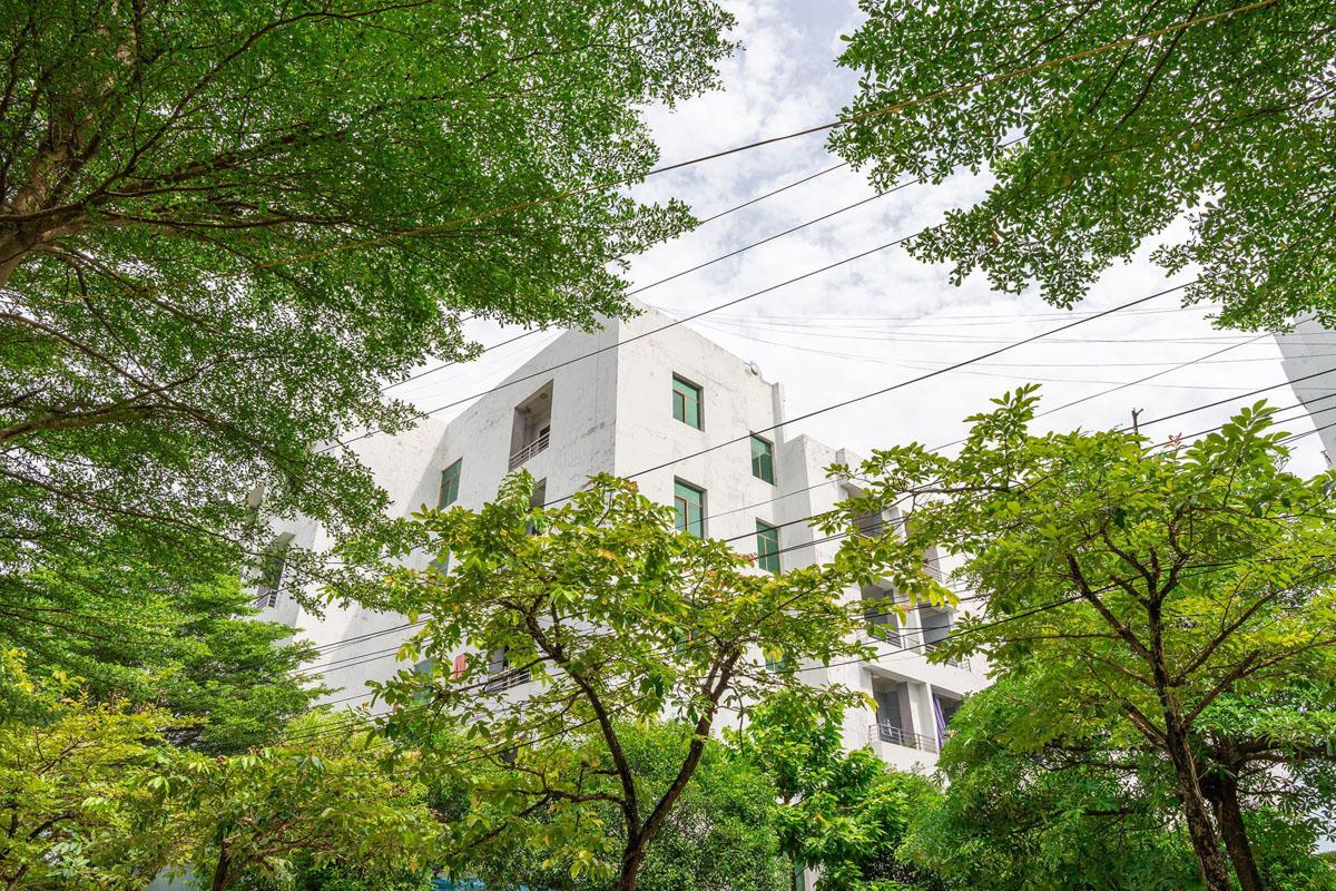 Trường Đại Học Thái Bình