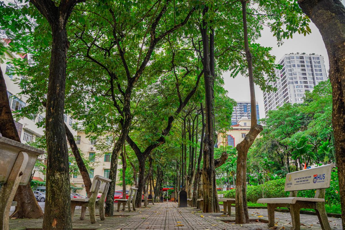 Trường Đại học Khoa học Tự nhiên, Đại học Quốc gia Hà Nội